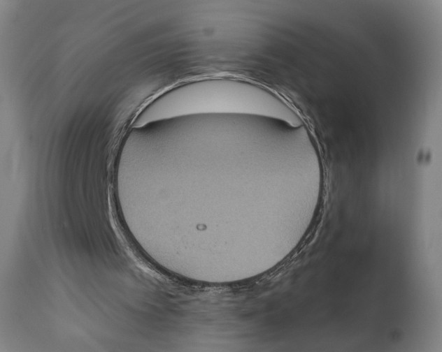 X0000111220097200907231450