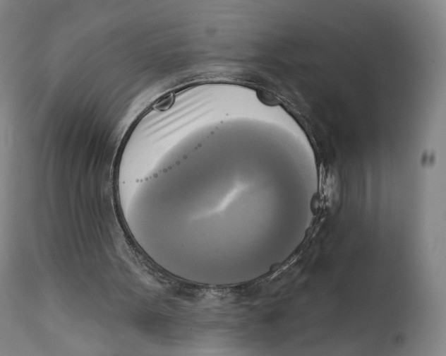 X0000111220099200907231450