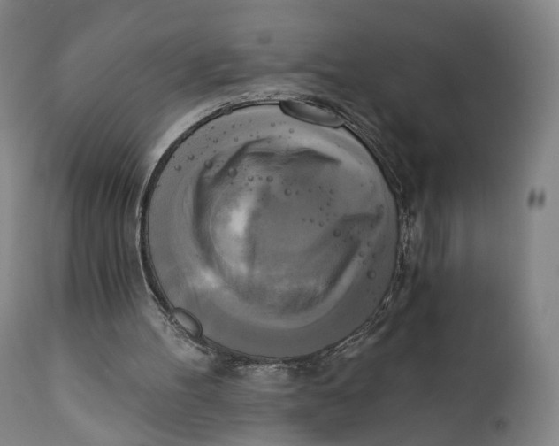 X0000111220100200907231450