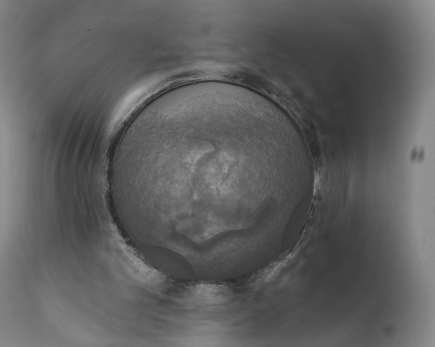X0000111220101200907231450