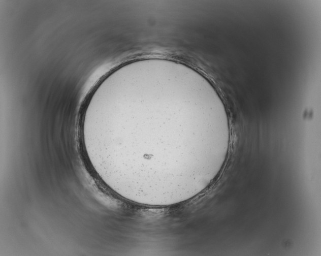 X0000111220102200907231450