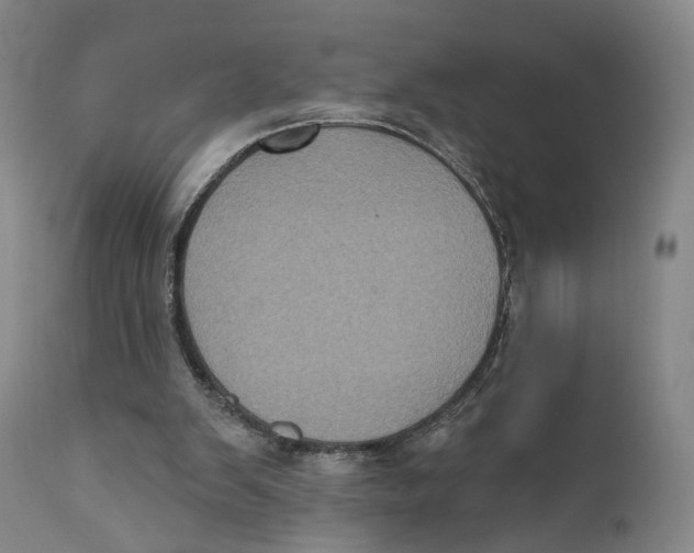 X0000111220103200907231450
