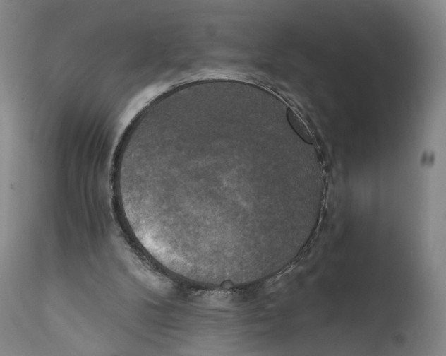X0000111220104200907231450