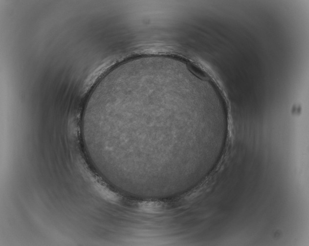 X0000111220105200907231450