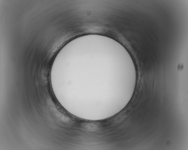 X0000111220106200907231450