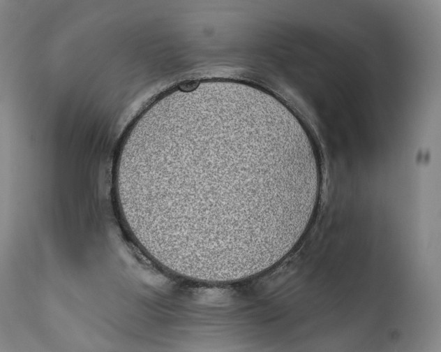 X0000111220107200907231450