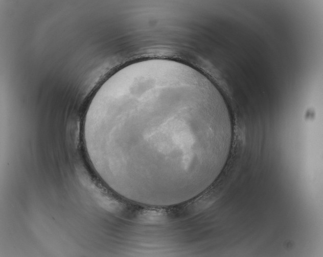 X0000111220110200907231450
