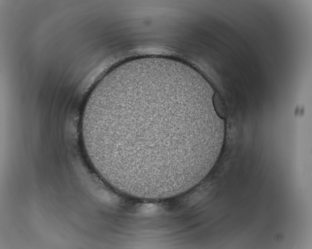 X0000111220111200907231450