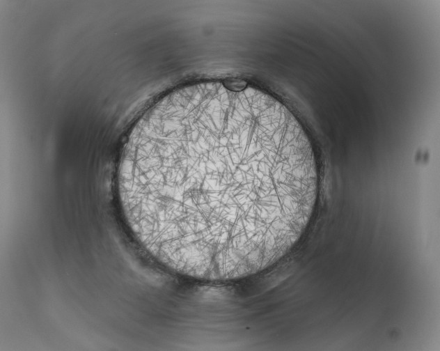 X0000111220115200907231450
