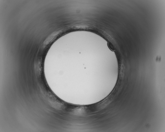 X0000111220116200907231450