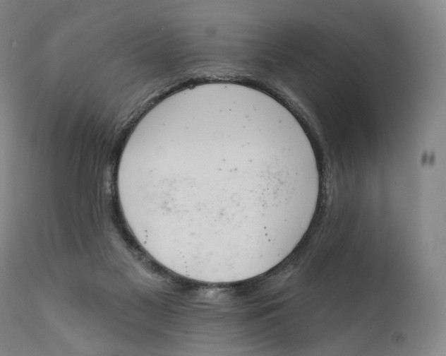 X0000111220117200907231450