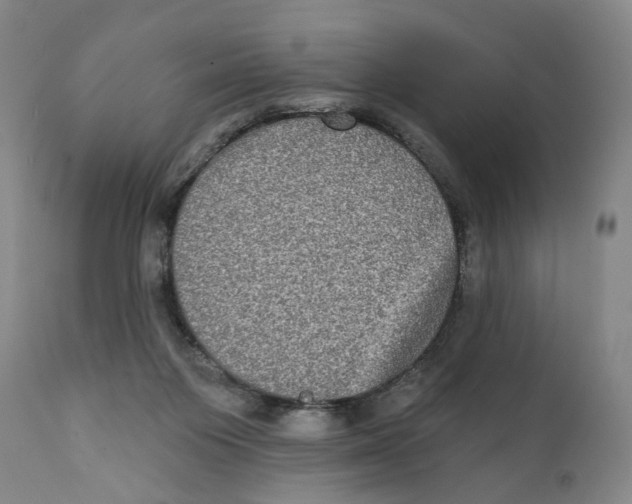X0000111220119200907231450
