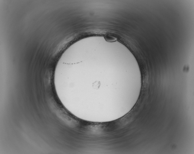 X0000111220120200907231450