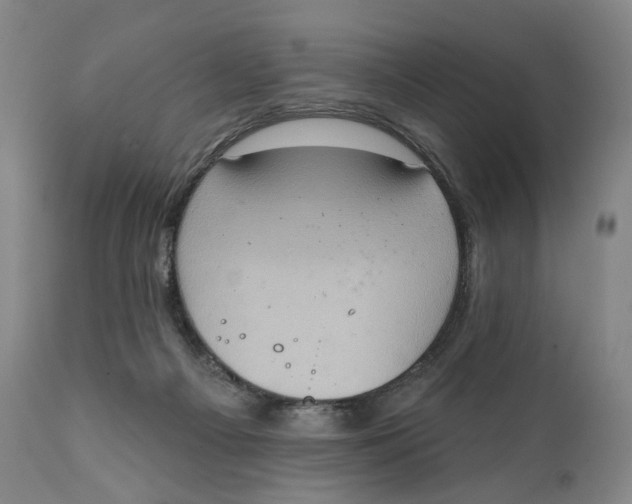 X0000111220121200907231450