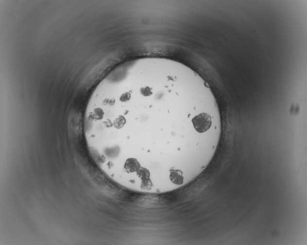 X0000111220123200907231450