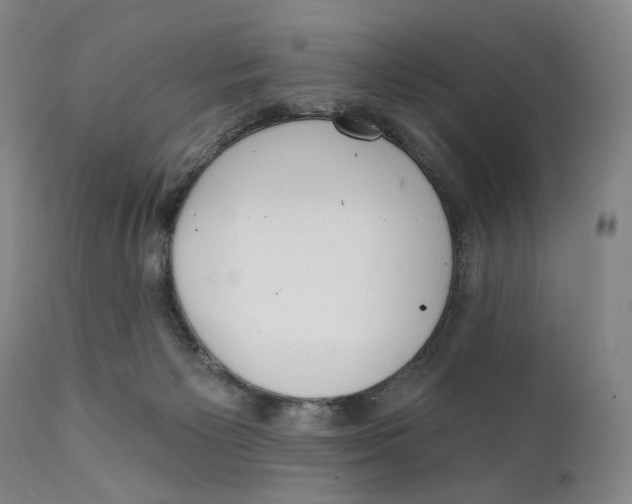 X0000111220125200907231449
