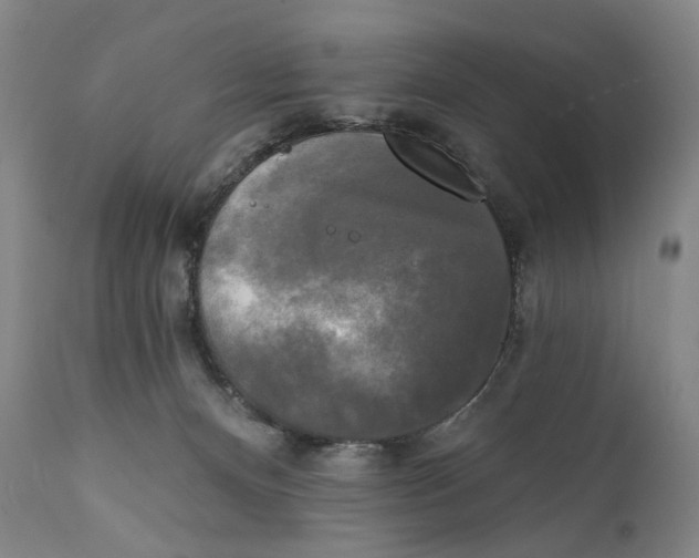 X0000111220128200907231449