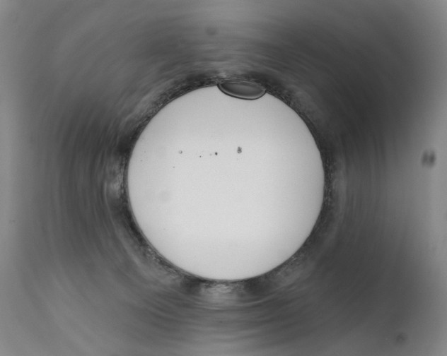 X0000111220129200907231449