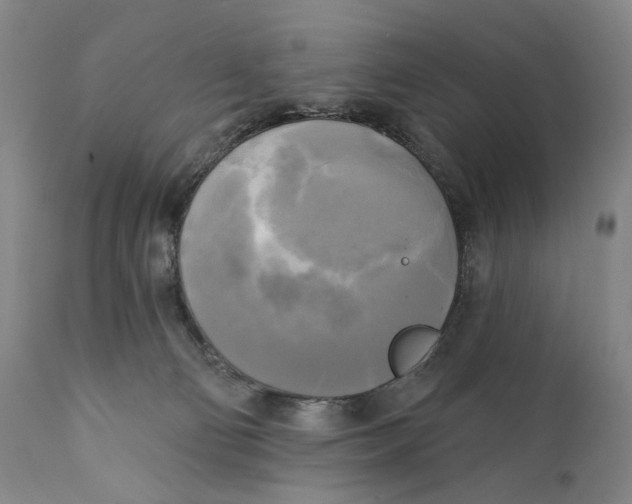 X0000111220130200907231449