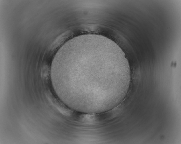 X0000111220132200907231449