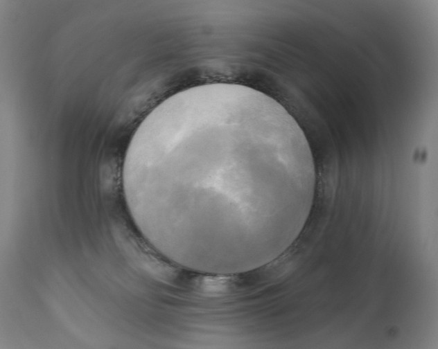 X0000111220134200907231449