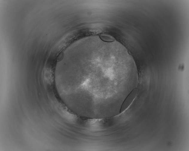 X0000111220136200907231449