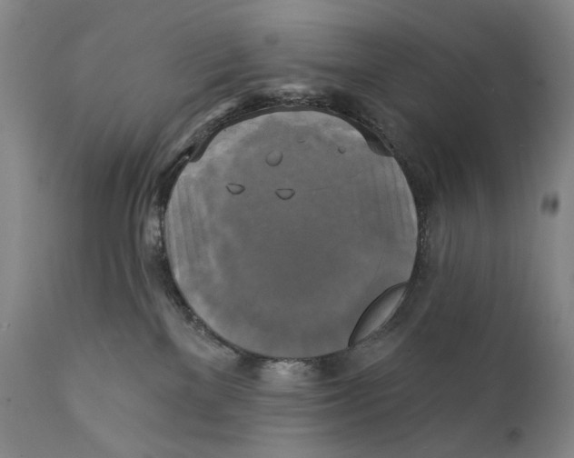 X0000111220137200907231449