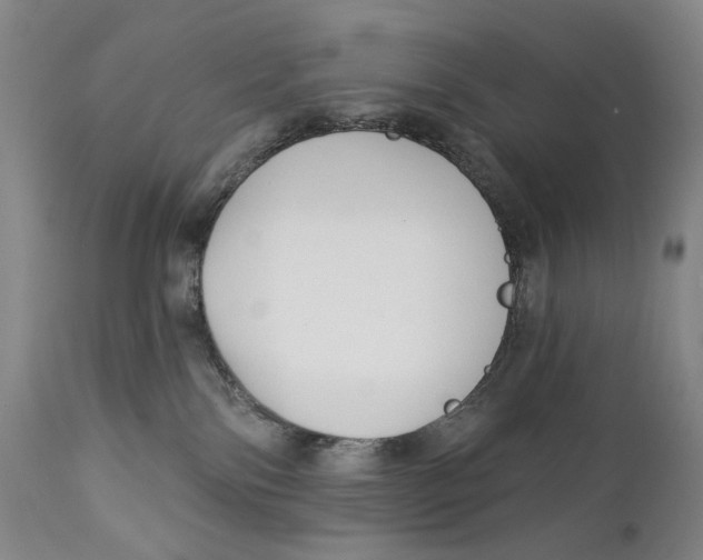 X0000111220138200907231449