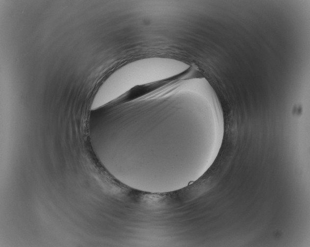 X0000111220139200907231449