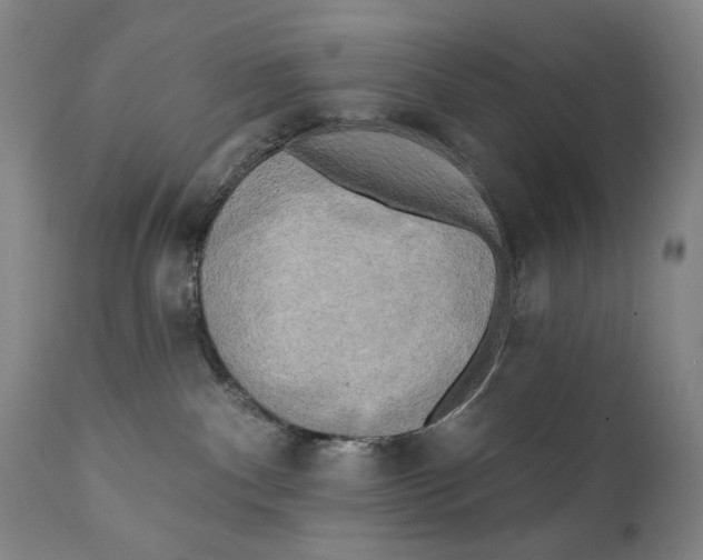X0000111220140200907231449