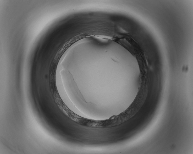 X0000111220143200907231449