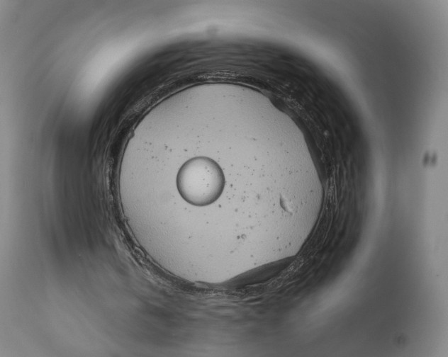X0000111220146200907231449
