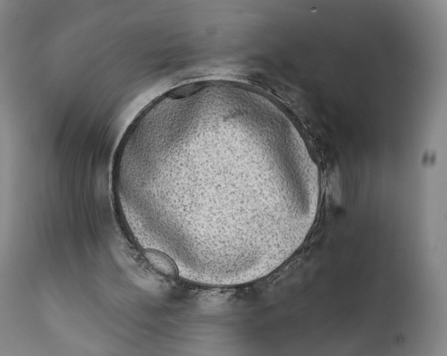 X0000111220148200907231449