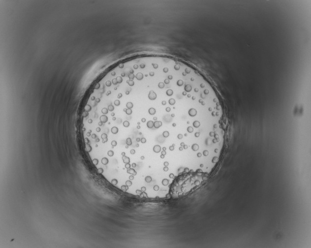 X0000111220151200907231449
