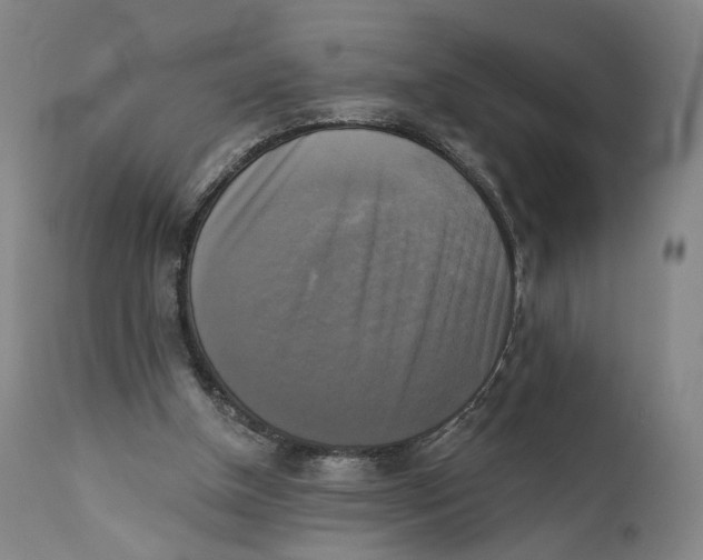 X0000111220154200907231449