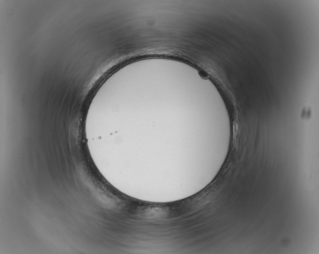 X0000111220156200907231449