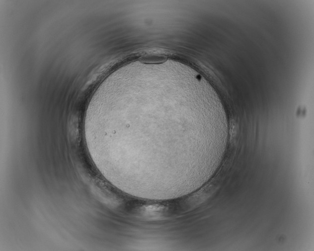X0000111220158200907231449