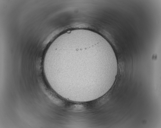 X0000111220159200907231449