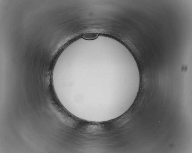 X0000111220160200907231449