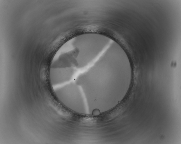X0000111220161200907231449