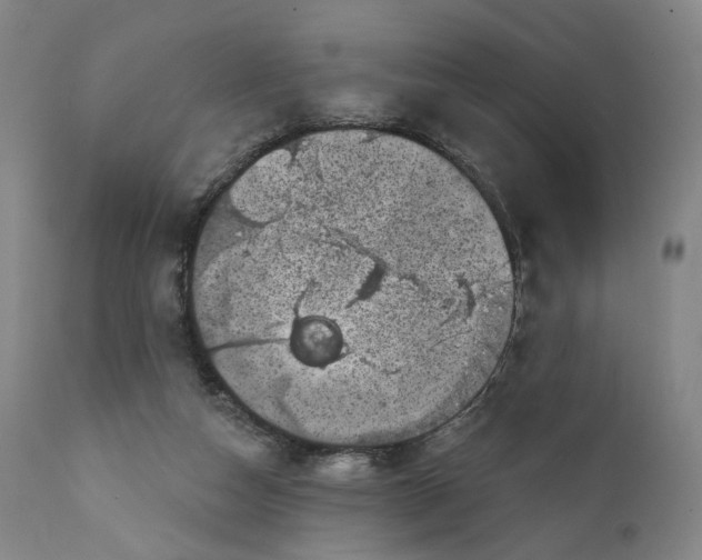 X0000111220162200907231449