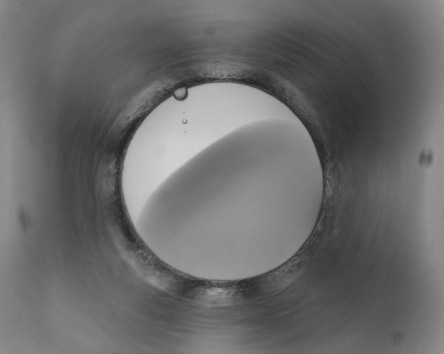 X0000111220163200907231449