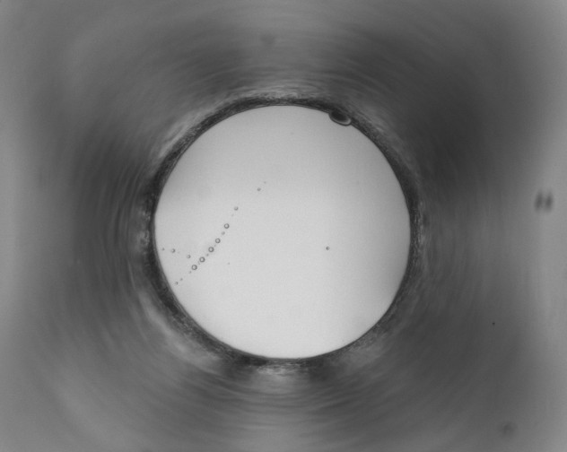X0000111220164200907231449