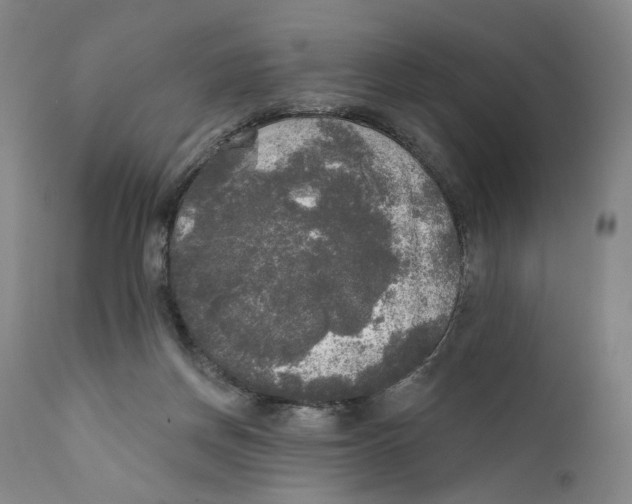 X0000111220166200907231449