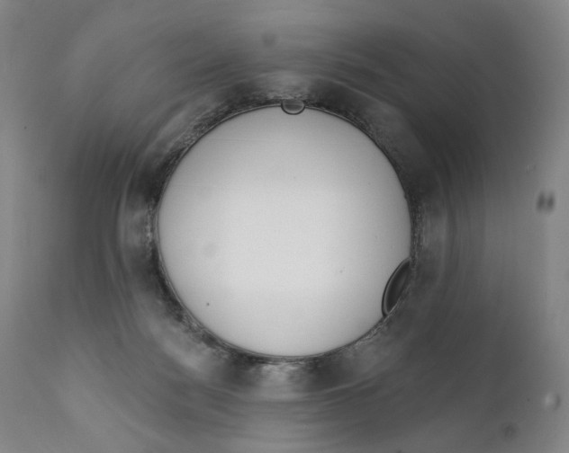 X0000111220172200907231449