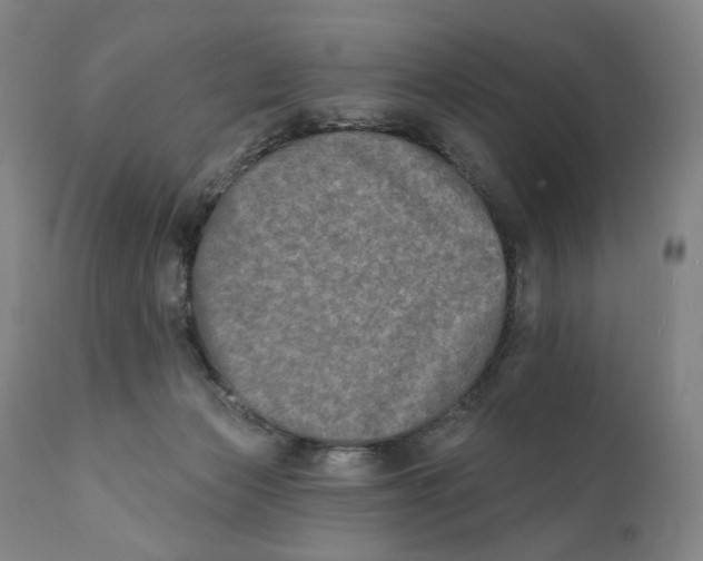 X0000111220173200907231449