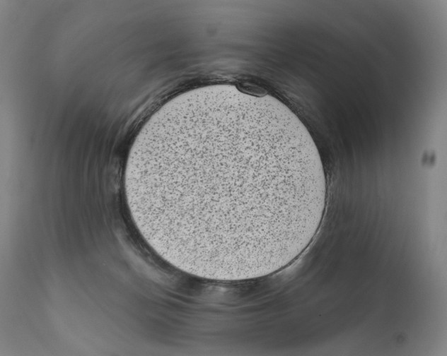 X0000111220174200907231449