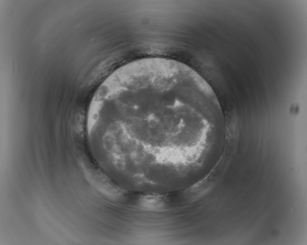 X0000111220175200907231449