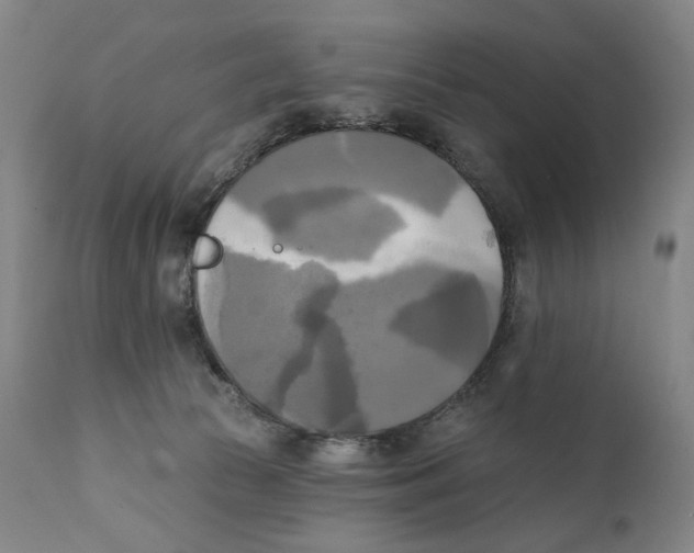 X0000111220177200907231449