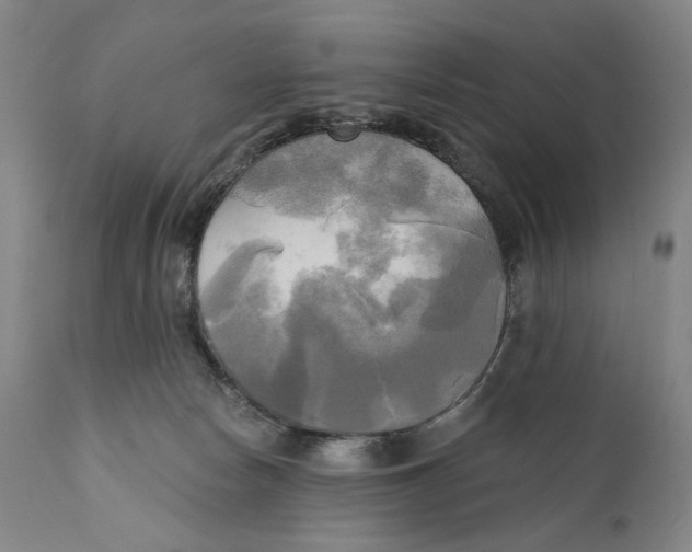 X0000111220178200907231449
